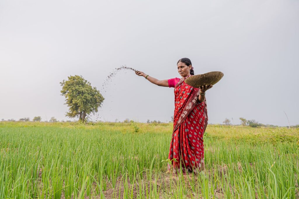 Farmer in a red sari spreading manure by hand across a green field in India