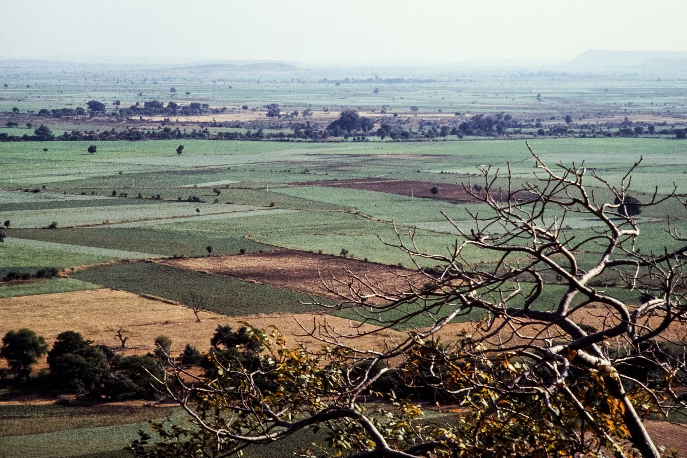 Patchwork of green and brown farm fields stretching to the horizon in India