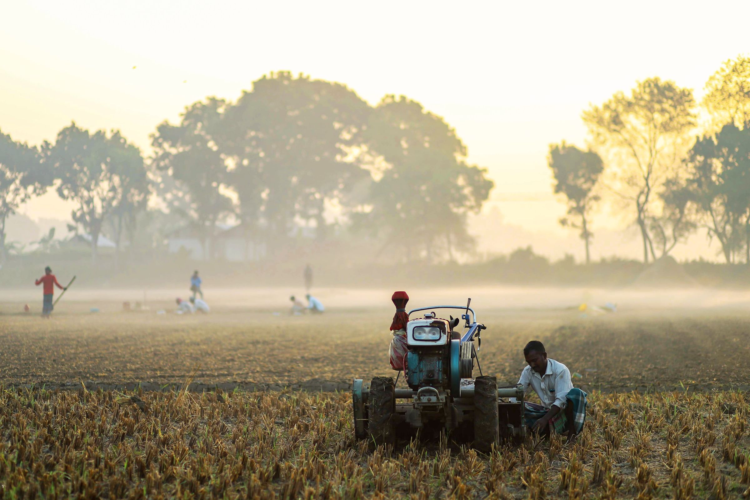 Farmers at work in fields in India